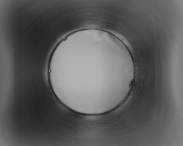 X0000100910904200807151136