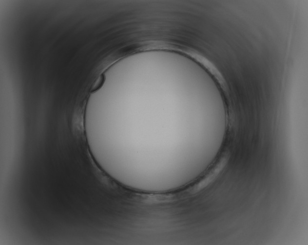 X0000100910905200807151136