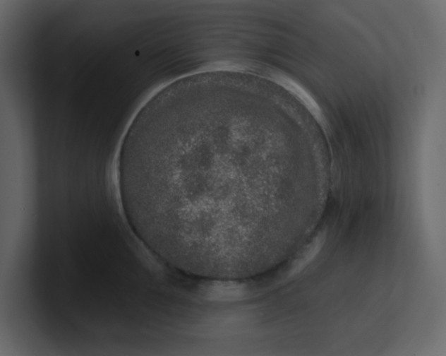 X0000100910907200807151136