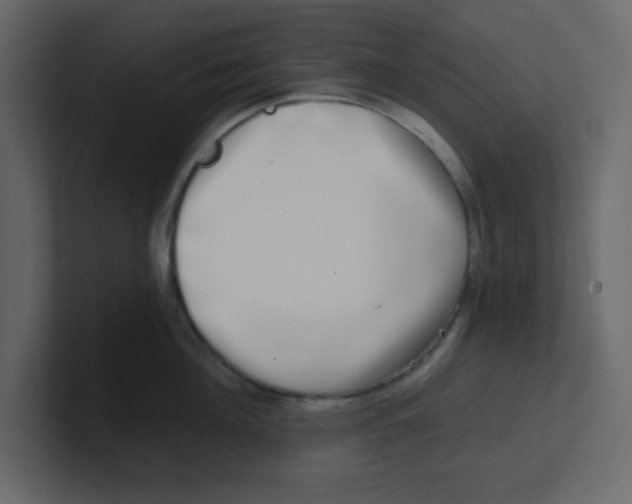 X0000100910908200807151136