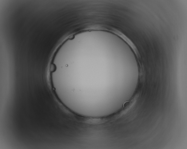 X0000100910909200807151136