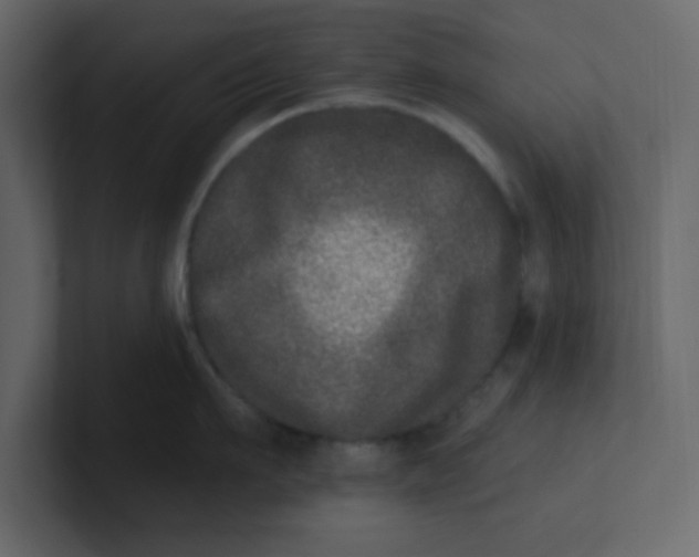 X0000100910911200807151136