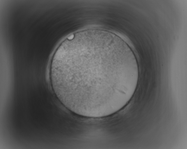 X0000100910912200807151136