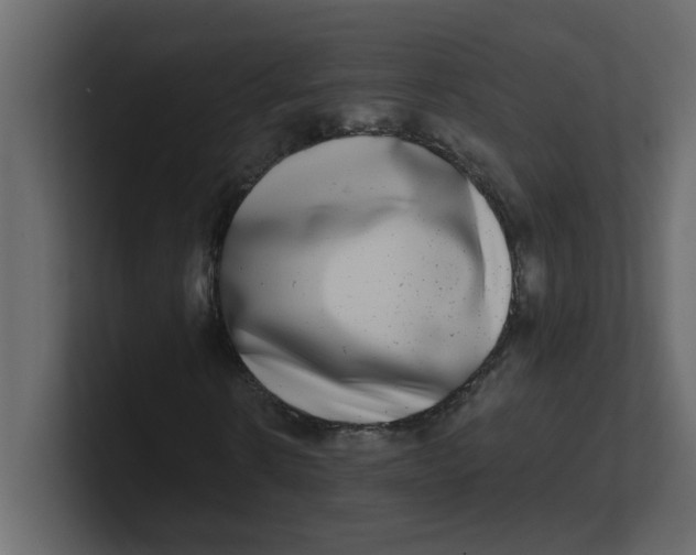 X0000100910914200807151135