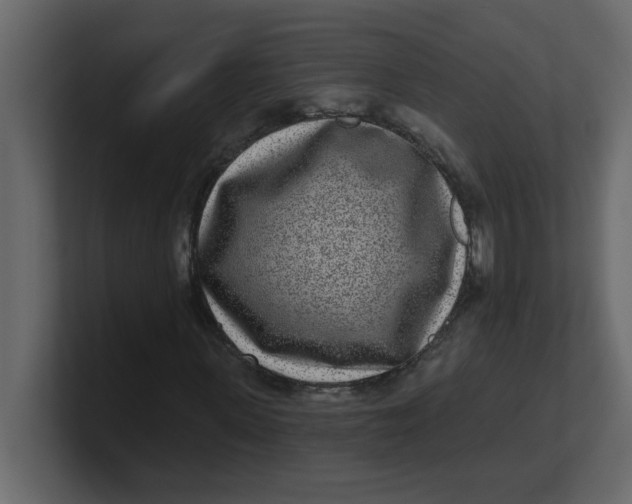 X0000100910915200807151135