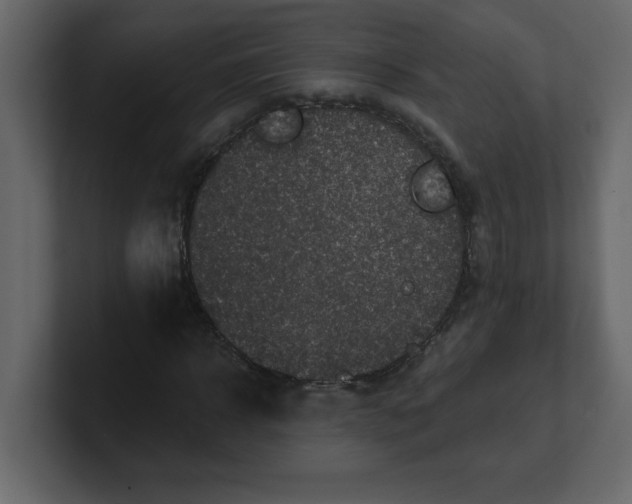 X0000100910918200807151135