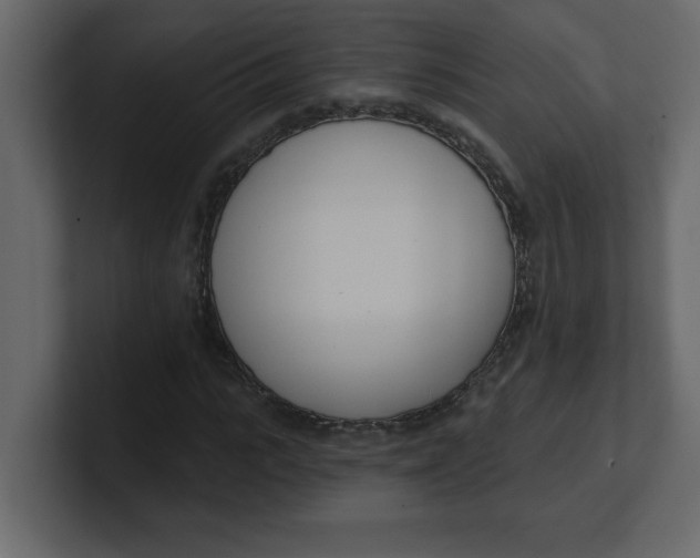 X0000100910919200807151135