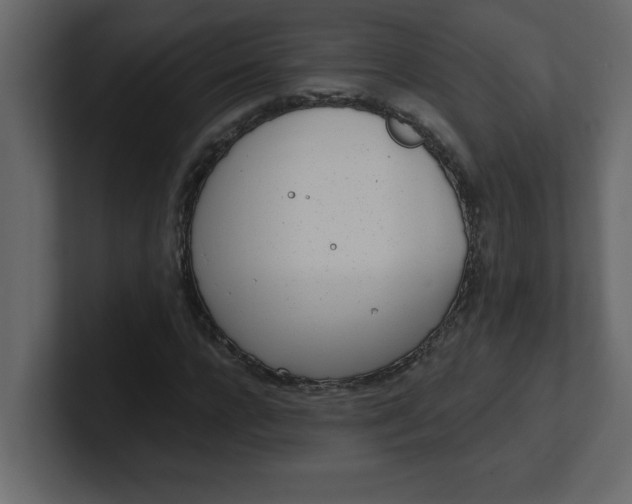 X0000100910920200807151135