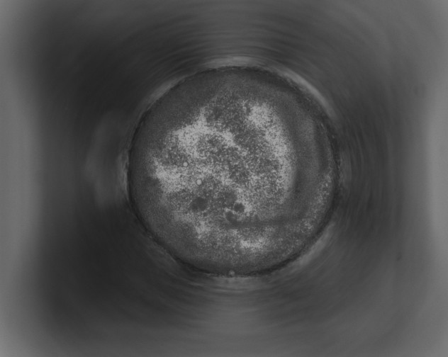 X0000100910921200807151135