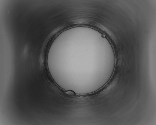 X0000100910922200807151135