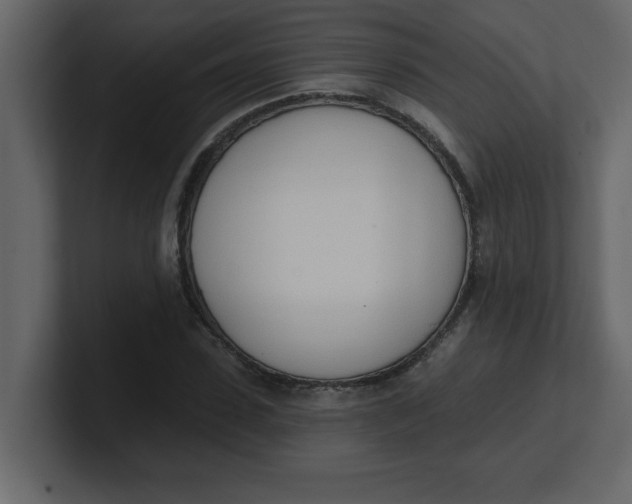 X0000100910923200807151135