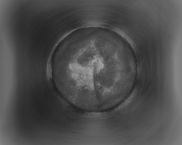 X0000100910925200807151135