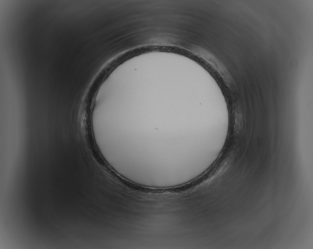 X0000100910926200807151135