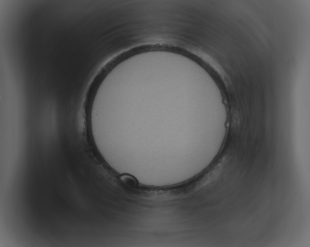 X0000100910927200807151135