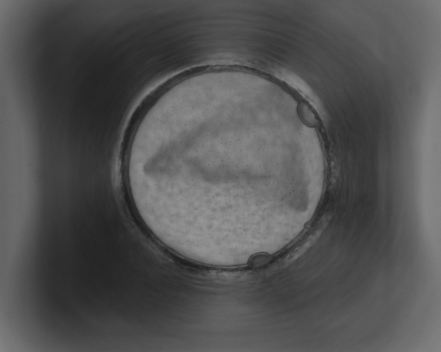 X0000100910928200807151135