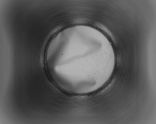 X0000100910930200807151135