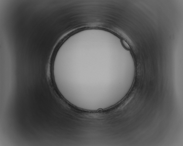 X0000100910932200807151135