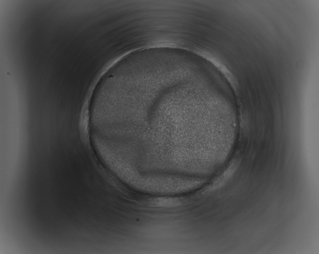 X0000100910933200807151135