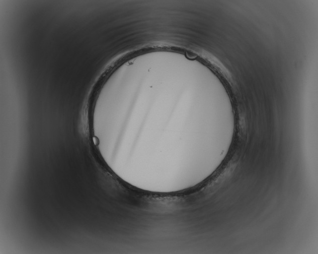 X0000100910934200807151135