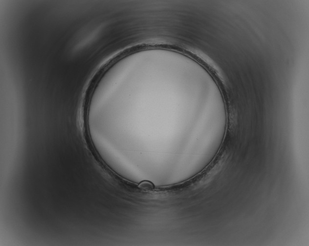 X0000100910935200807151135