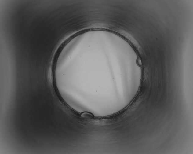 X0000100910936200807151135