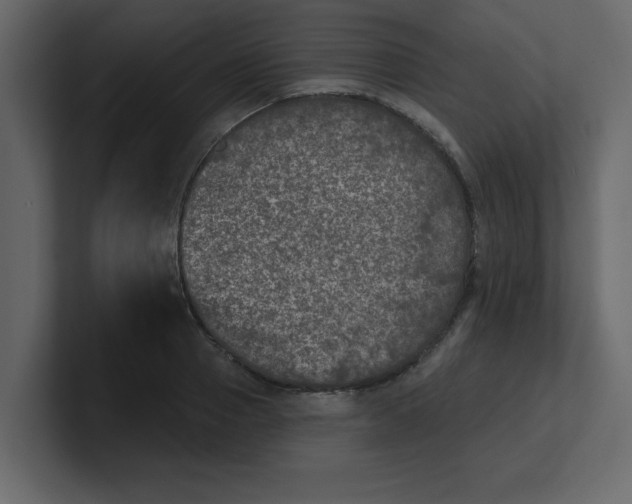 X0000100910937200807151135