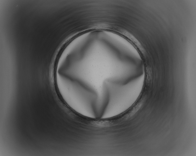 X0000100910939200807151136