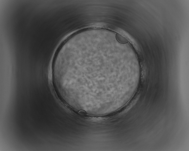 X0000100910940200807151136