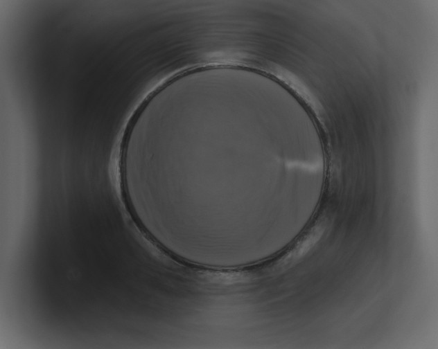 X0000100910941200807151136