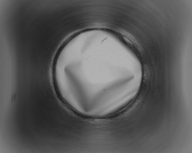 X0000100910942200807151136