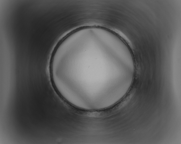 X0000100910943200807151136