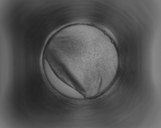 X0000100910944200807151136