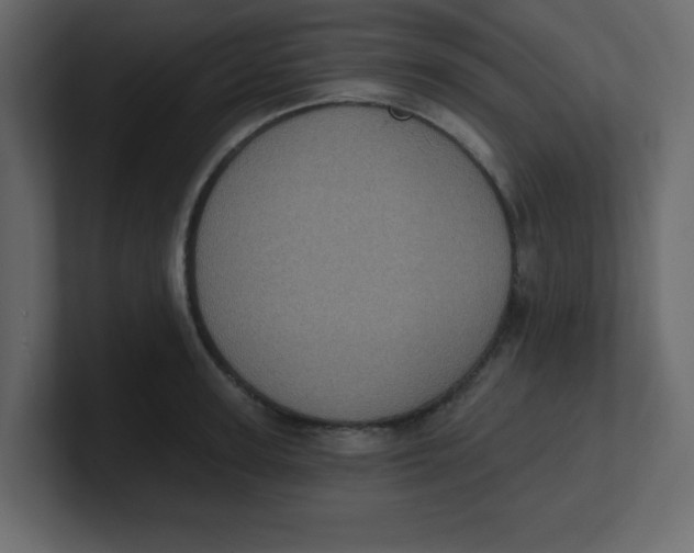 X0000100910947200807151136