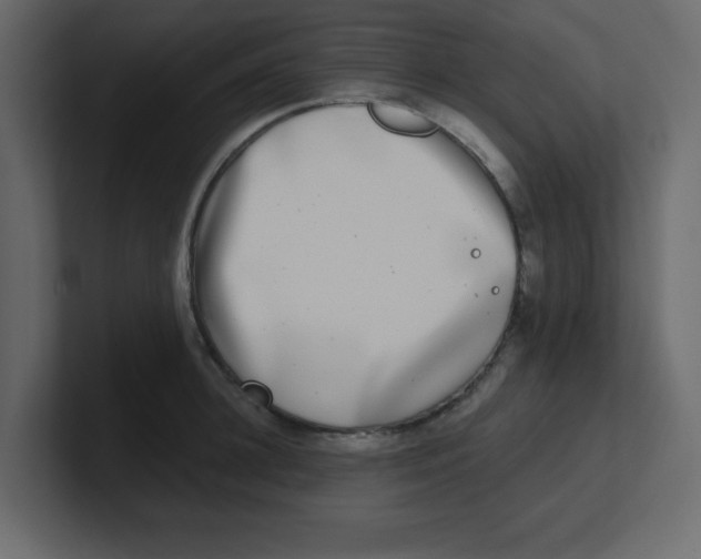 X0000100910948200807151136