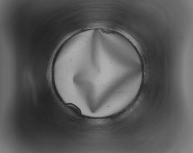 X0000100910949200807151136