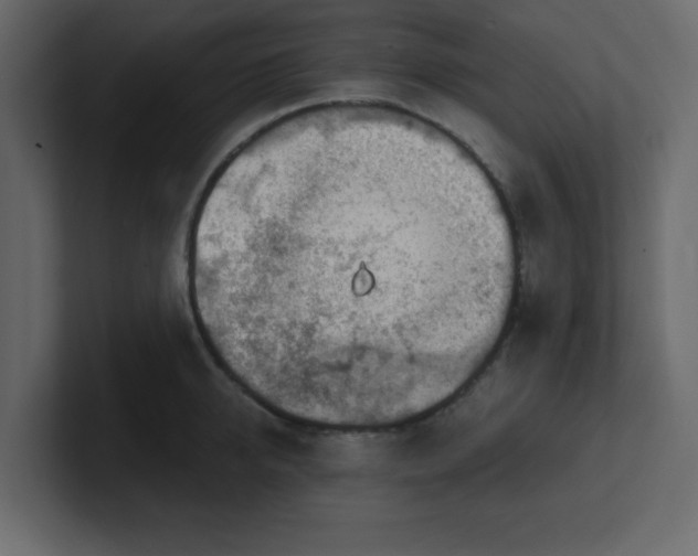 X0000100910950200807151136