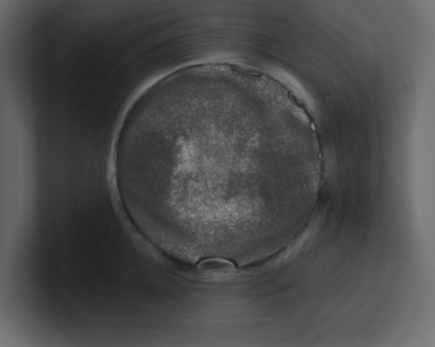 X0000100910952200807151136