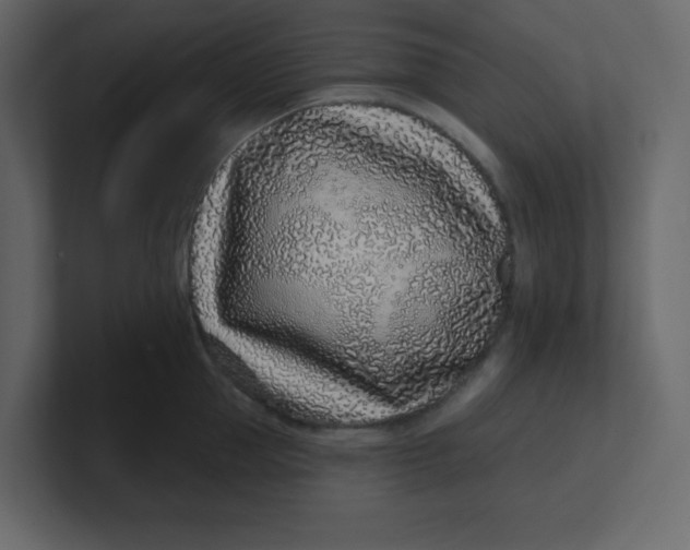 X0000100910953200807151136