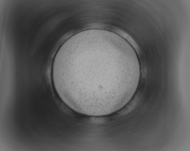 X0000100910954200807151136