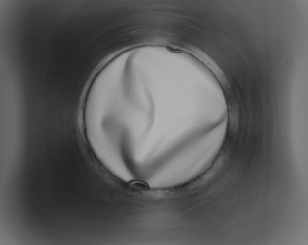 X0000100910956200807151136