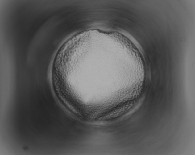 X0000100910957200807151136