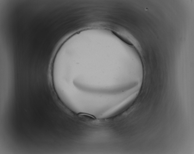 X0000100910960200807151136