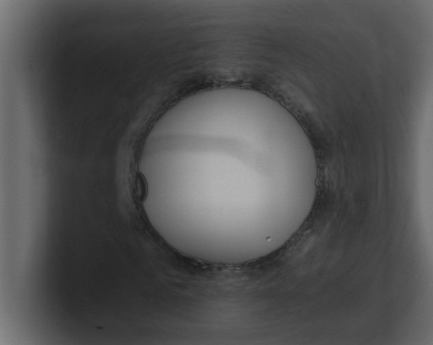 X0000100910961200807151135