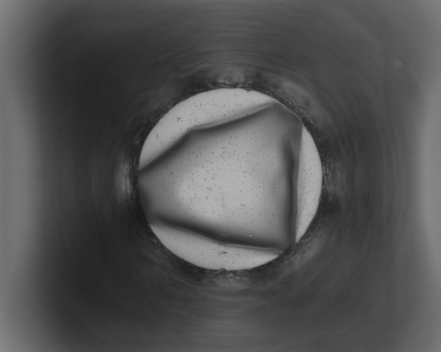 X0000100910962200807151135