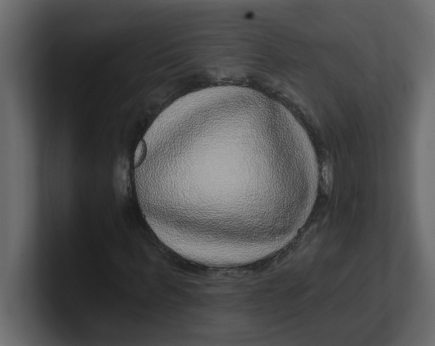 X0000100910963200807151135