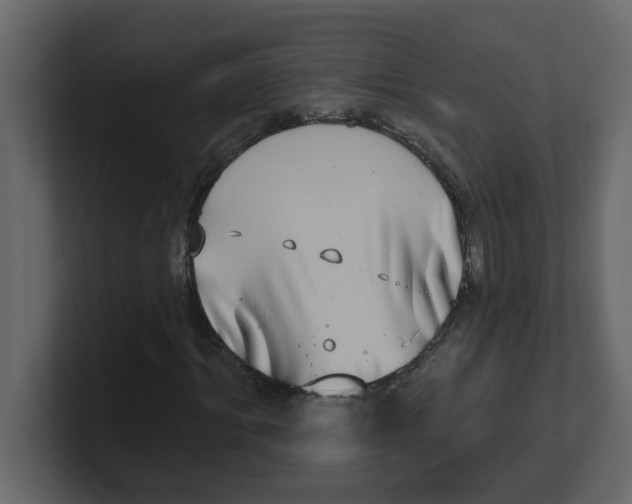 X0000100910964200807151135