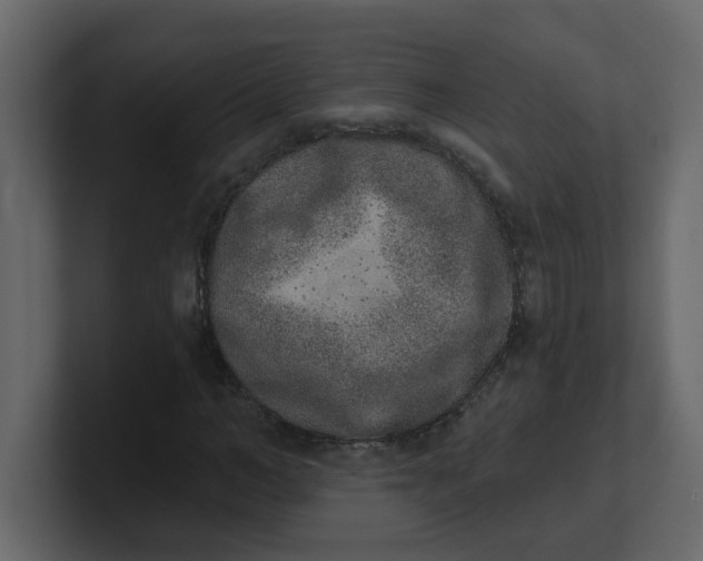 X0000100910966200807151135