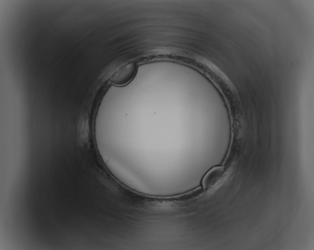 X0000100910969200807151135