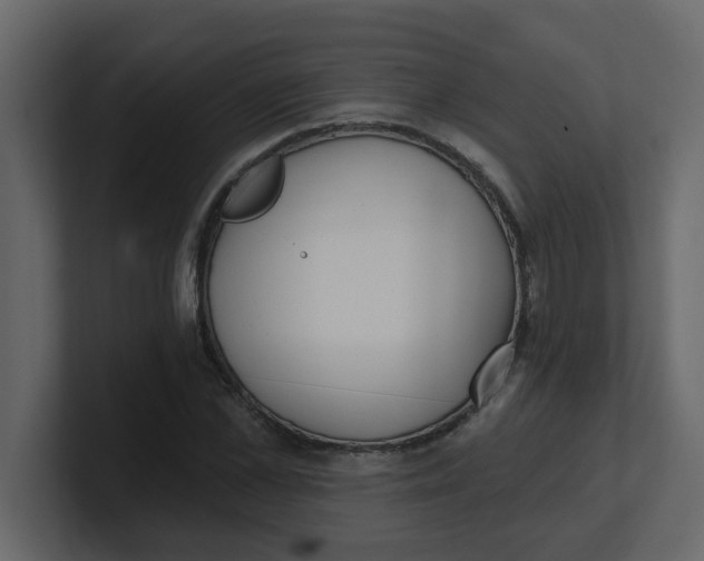 X0000100910973200807151135