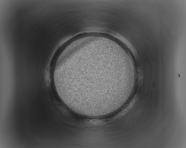 X0000100910974200807151135